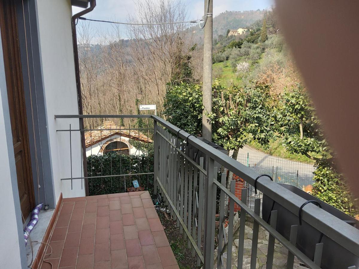Casa Di Nonno Via Di Palmata 1576 Lucca