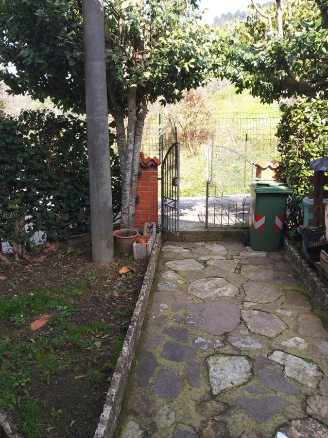 Casa Di Nonno Via Di Palmata 1576 *